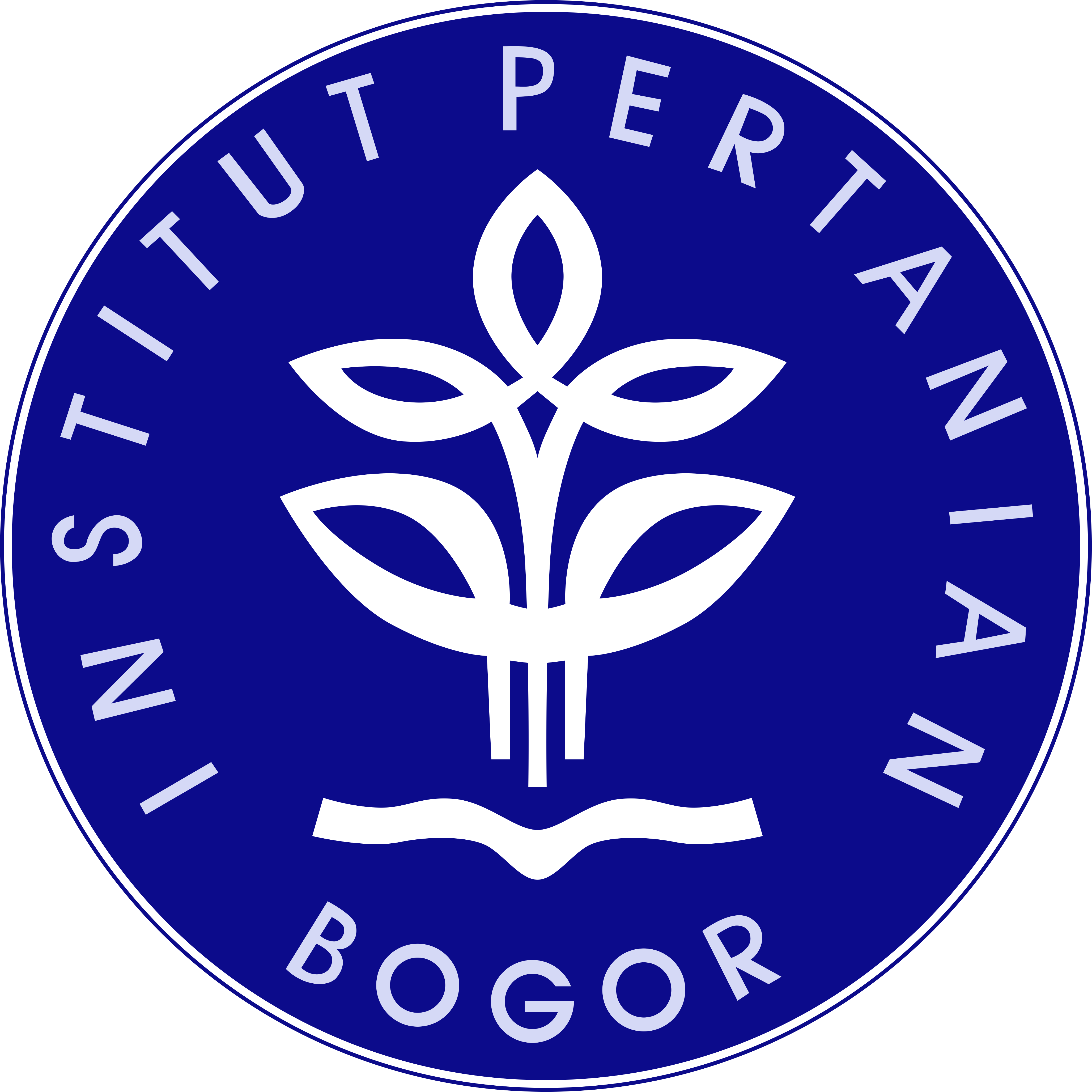 logo-ipb.png
