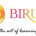 CV . BIRUNI INDO PRATAMA's logo